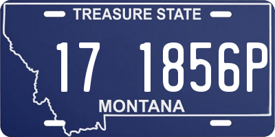 MT license plate 171856P