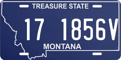 MT license plate 171856V