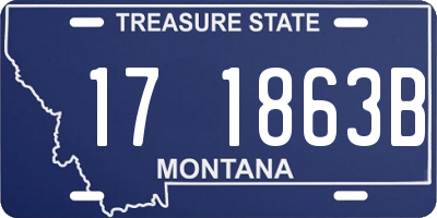 MT license plate 171863B