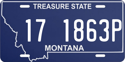 MT license plate 171863P
