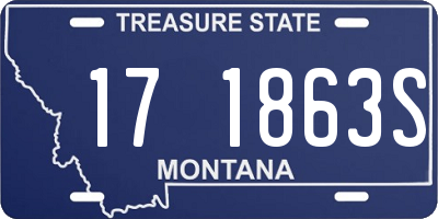 MT license plate 171863S