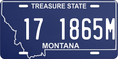 MT license plate 171865M
