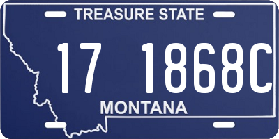 MT license plate 171868C