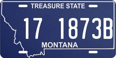 MT license plate 171873B