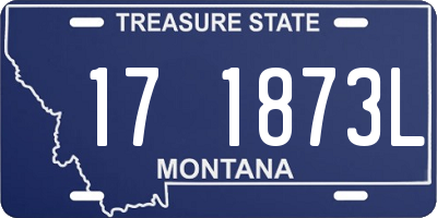 MT license plate 171873L