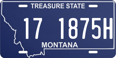 MT license plate 171875H