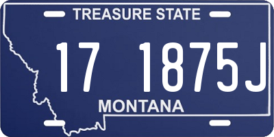 MT license plate 171875J