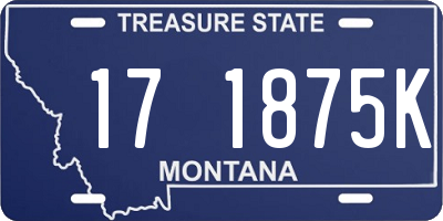 MT license plate 171875K