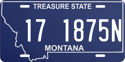 MT license plate 171875N