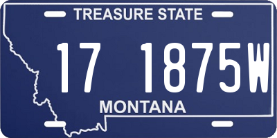 MT license plate 171875W