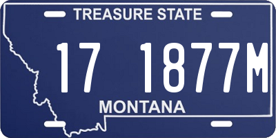 MT license plate 171877M
