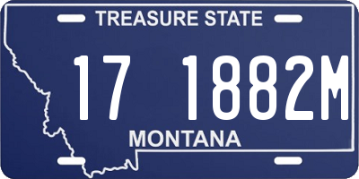 MT license plate 171882M