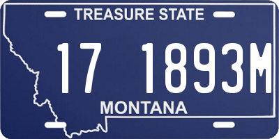 MT license plate 171893M