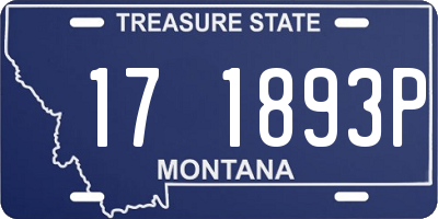 MT license plate 171893P