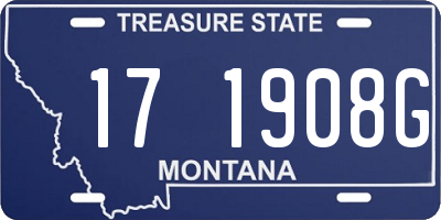 MT license plate 171908G