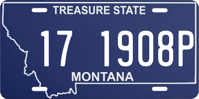 MT license plate 171908P