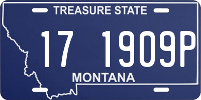MT license plate 171909P
