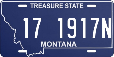 MT license plate 171917N