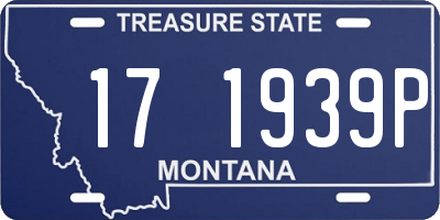 MT license plate 171939P