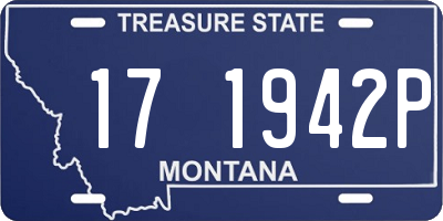 MT license plate 171942P