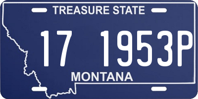 MT license plate 171953P