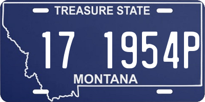 MT license plate 171954P