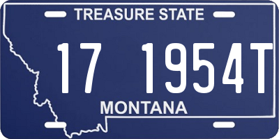 MT license plate 171954T