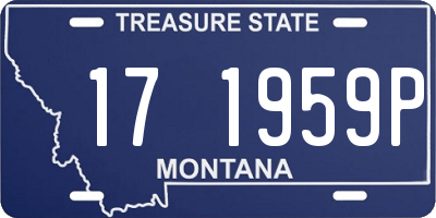 MT license plate 171959P