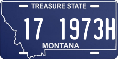MT license plate 171973H