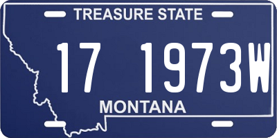 MT license plate 171973W