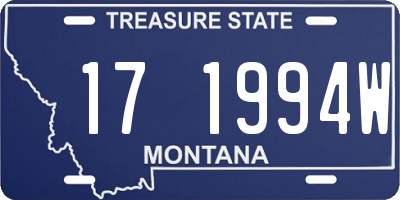 MT license plate 171994W