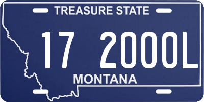 MT license plate 172000L