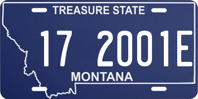 MT license plate 172001E