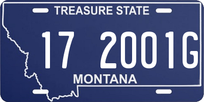 MT license plate 172001G