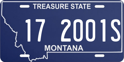 MT license plate 172001S