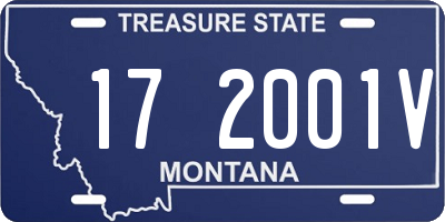 MT license plate 172001V