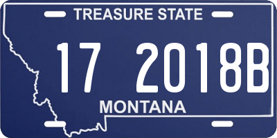 MT license plate 172018B