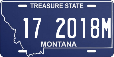 MT license plate 172018M