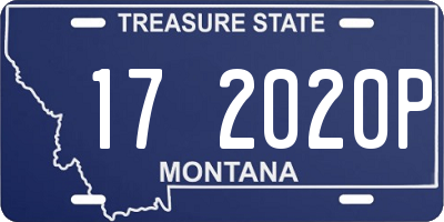 MT license plate 172020P