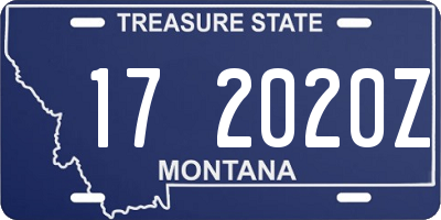 MT license plate 172020Z