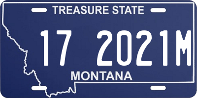 MT license plate 172021M