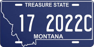 MT license plate 172022C