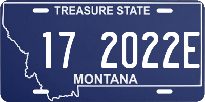 MT license plate 172022E