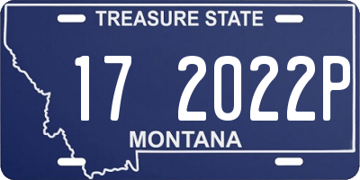 MT license plate 172022P