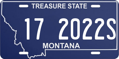 MT license plate 172022S