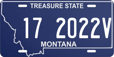 MT license plate 172022V