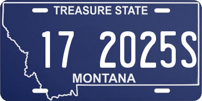 MT license plate 172025S