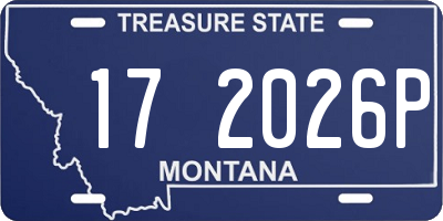 MT license plate 172026P