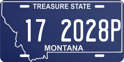 MT license plate 172028P