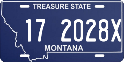MT license plate 172028X
